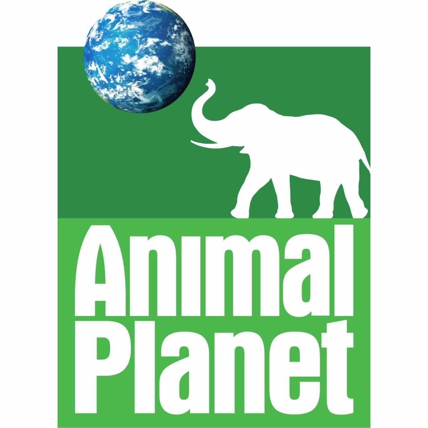 ANIMAL PLANET