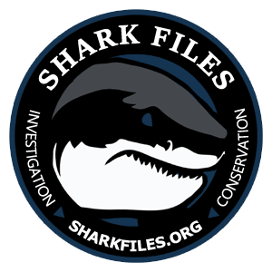 SHARK FILES