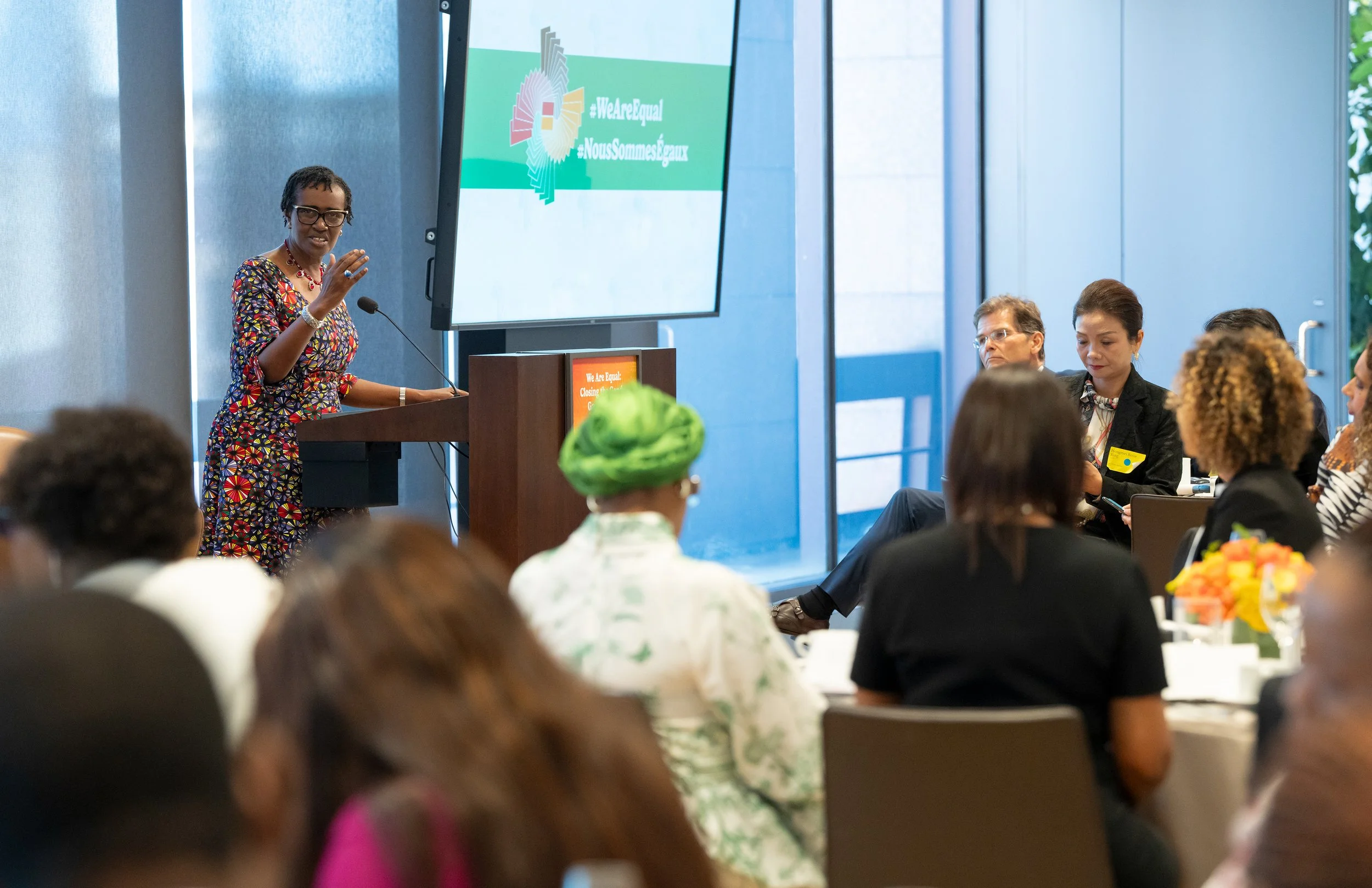 Images from the United Nations General Assembly OAFLAD Event in New York City