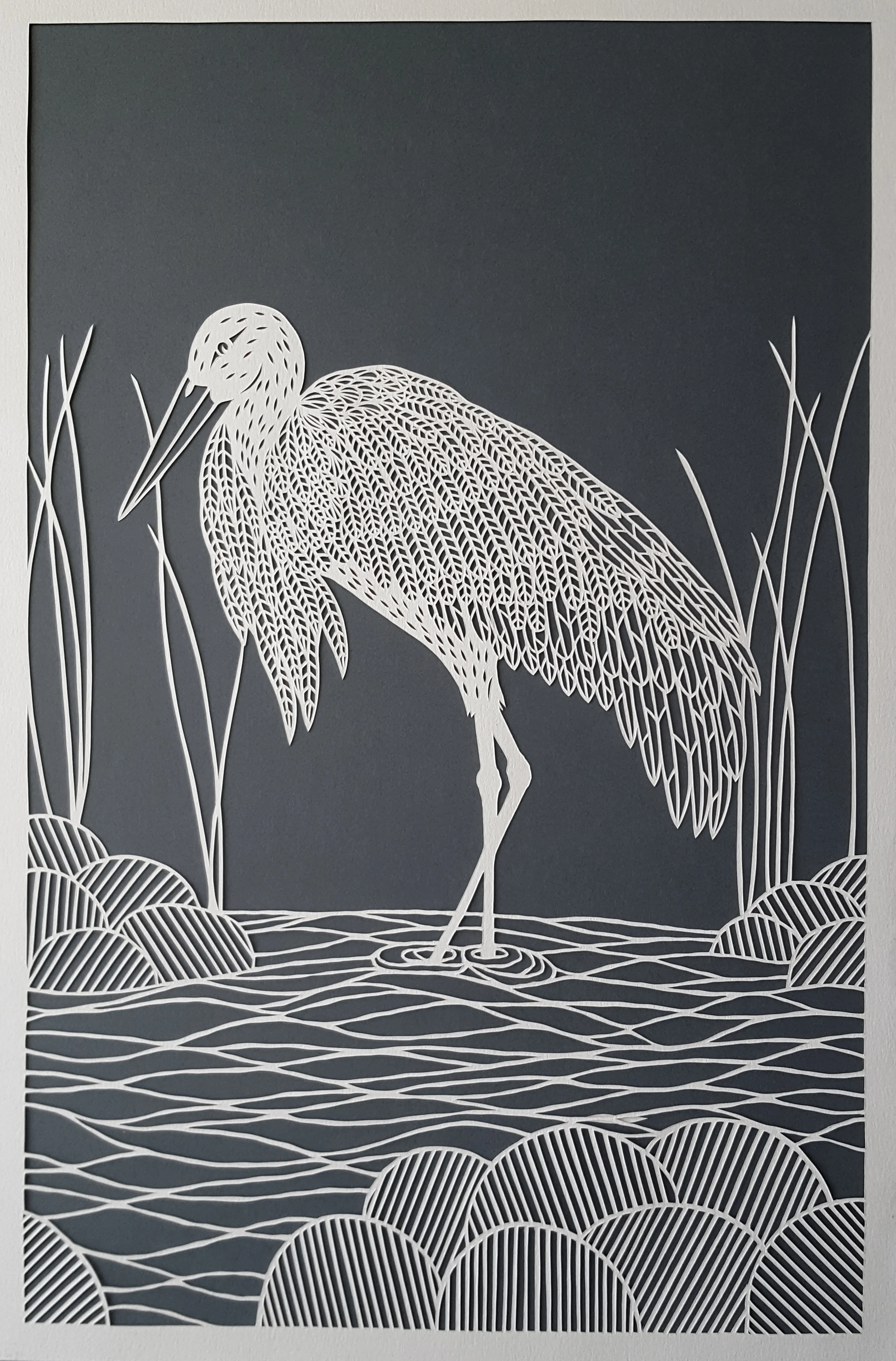 Stork