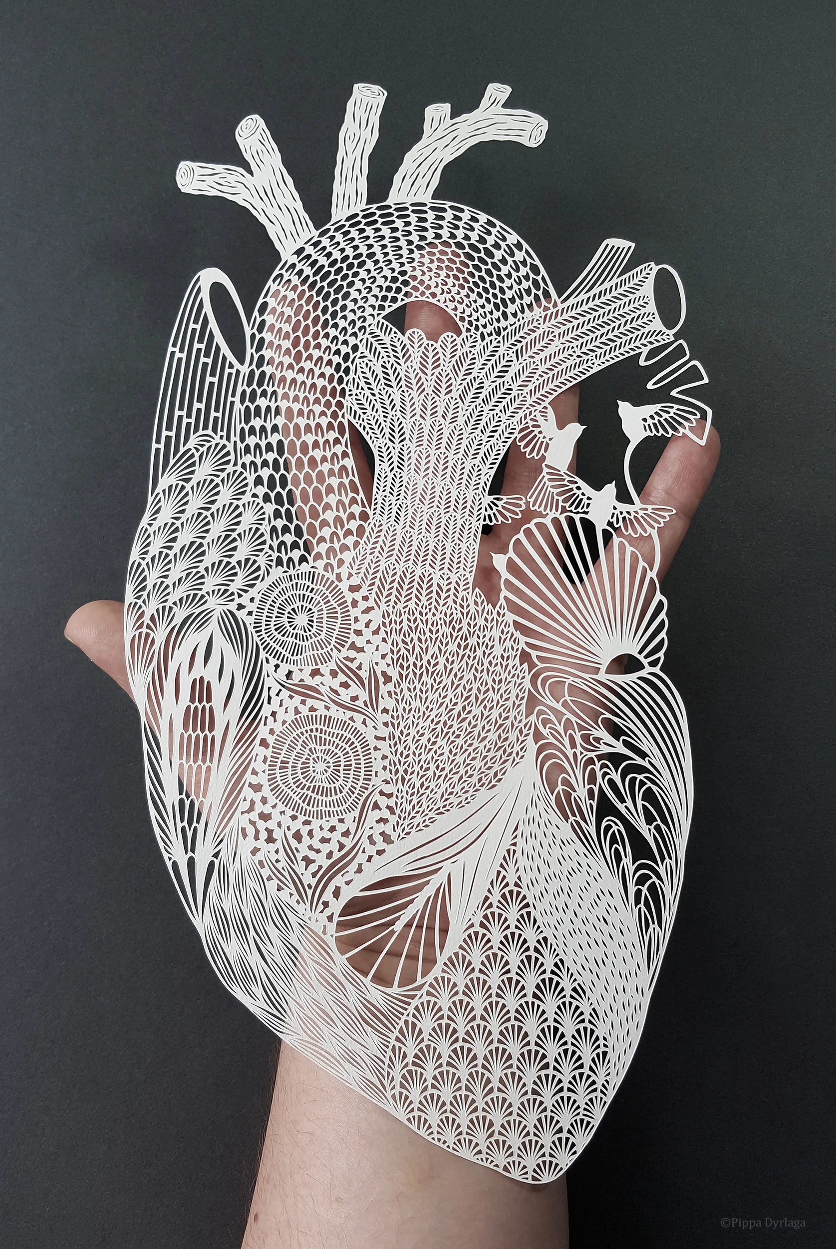 Biophilia I