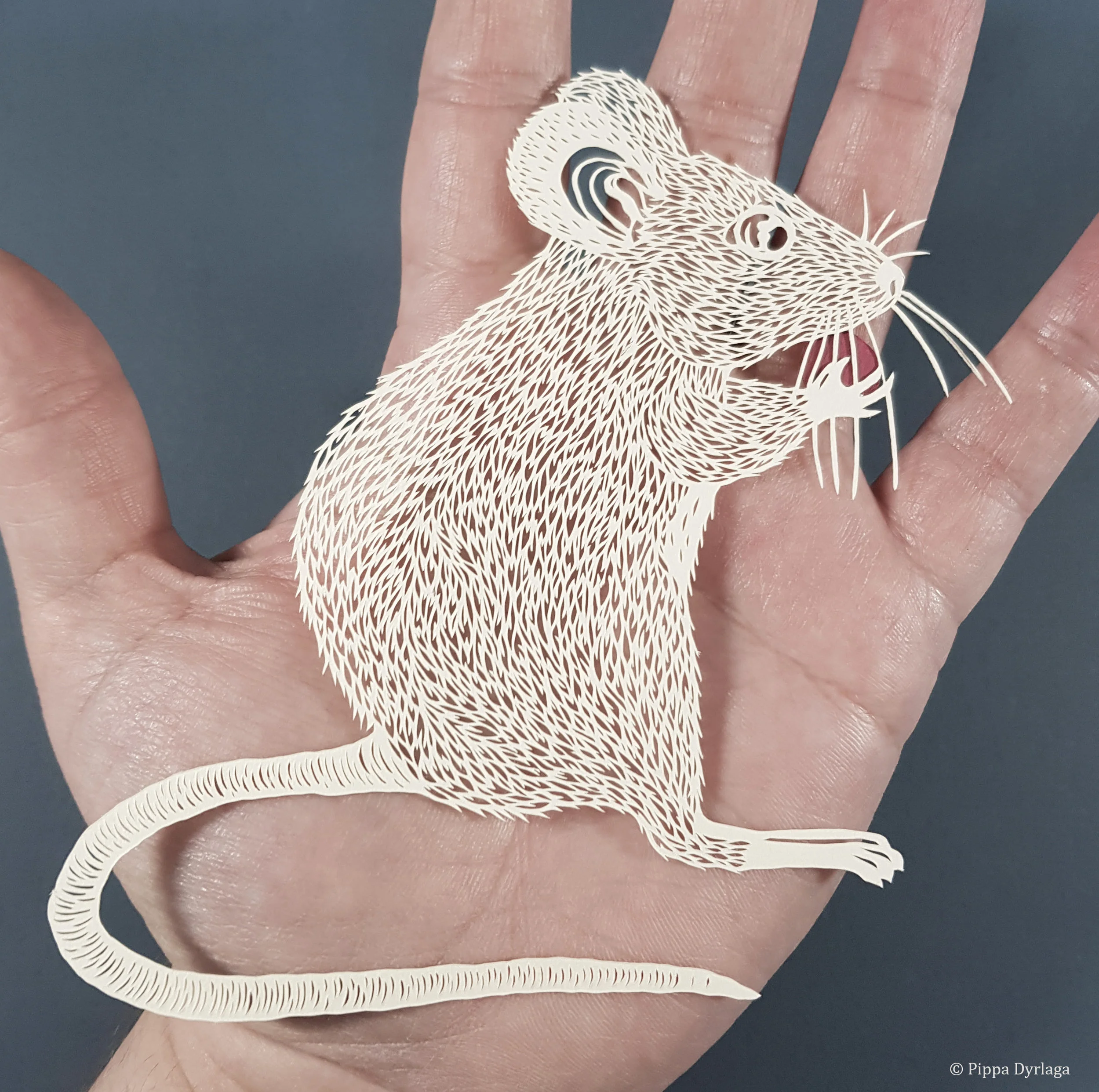 Little Mouse
