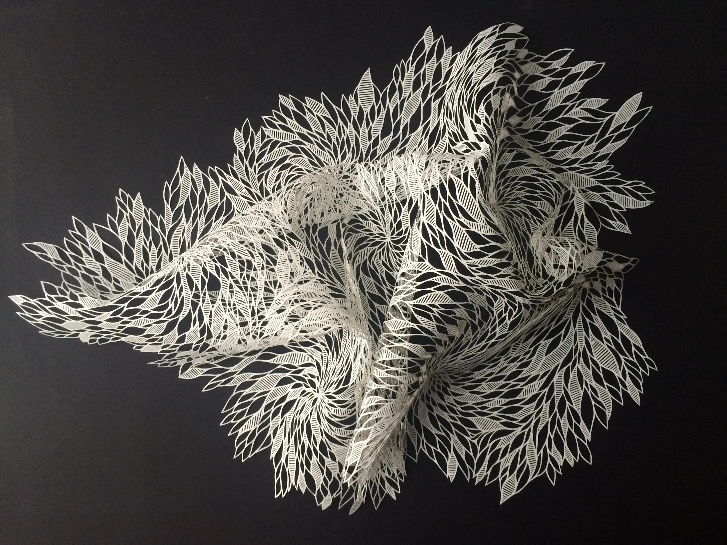 Paper Lace