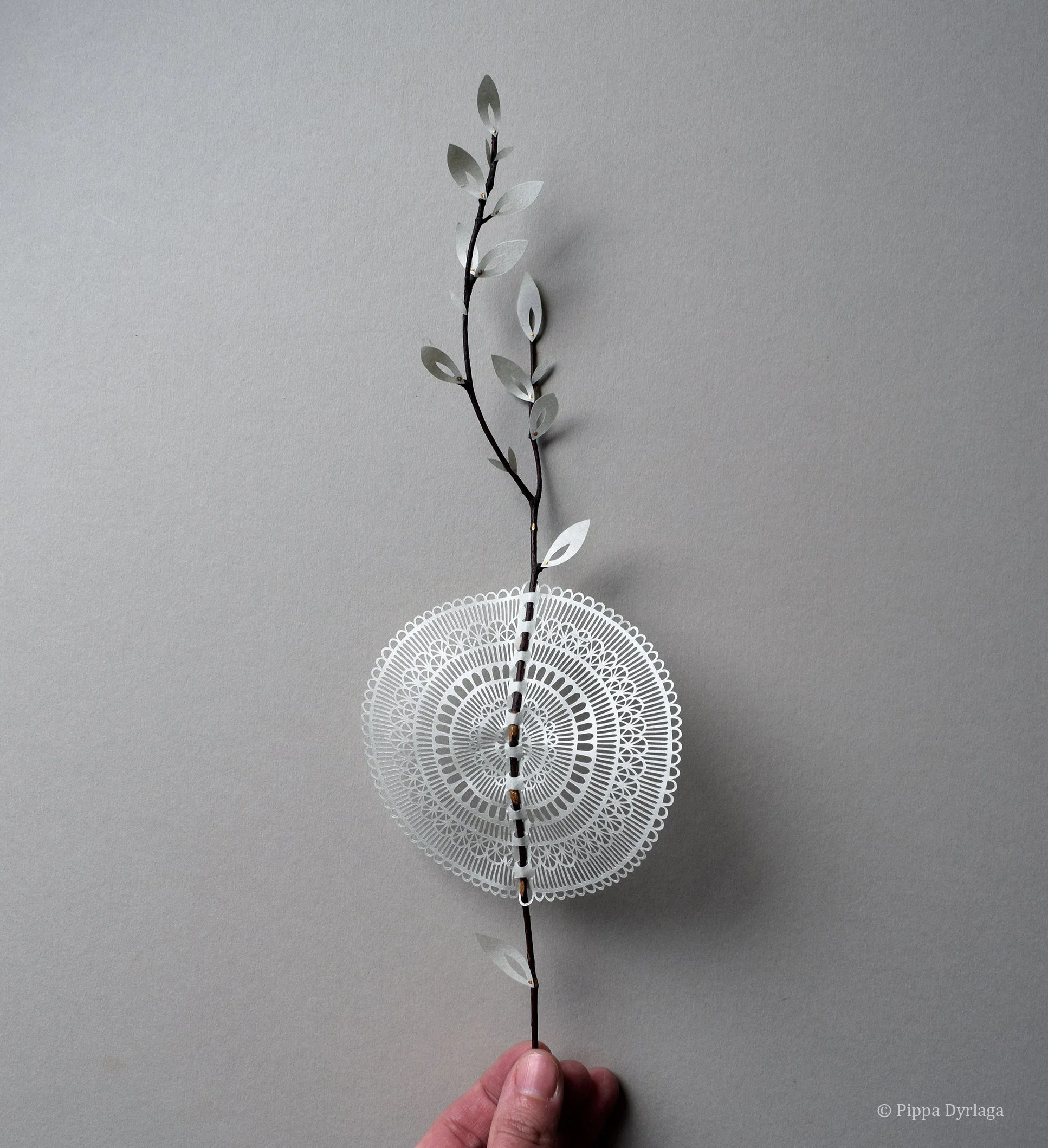 Homage to Everyday Nature #10