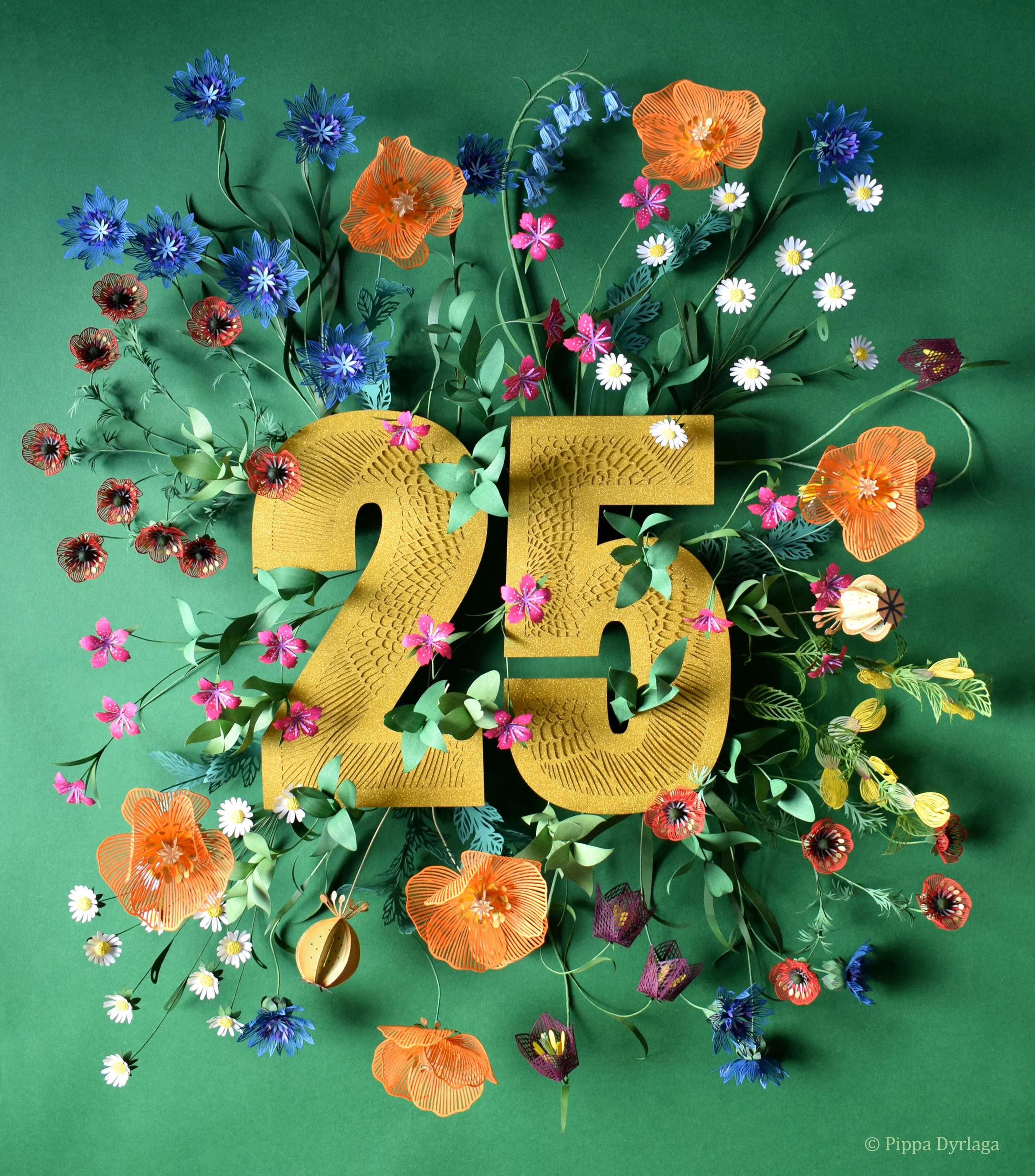 25th Anniversary of the Kew Gardens Millenium Seed Bank.