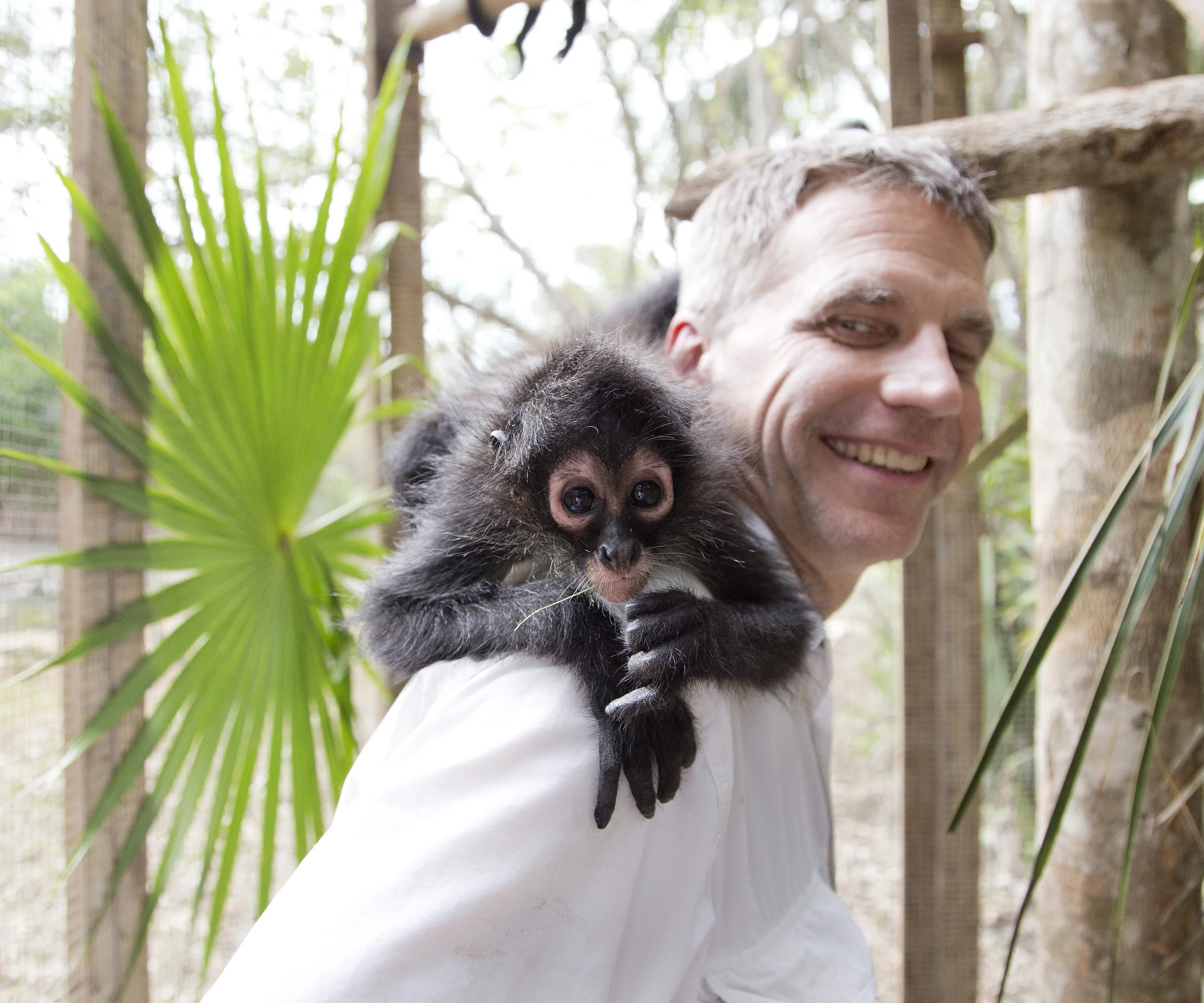 Tom Reeve - Board Member
