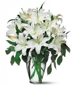 casablanca liliesinvase.jpg