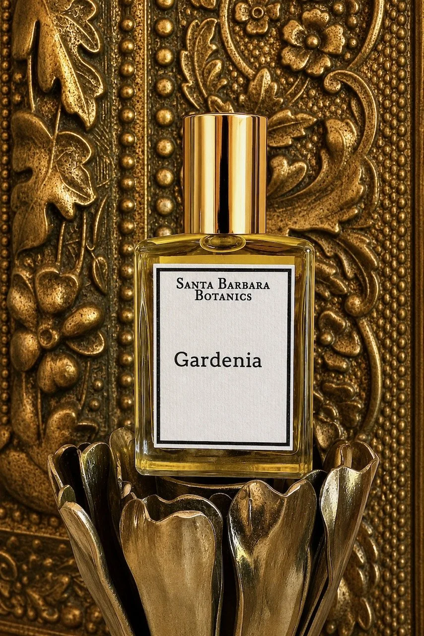 Gardenia