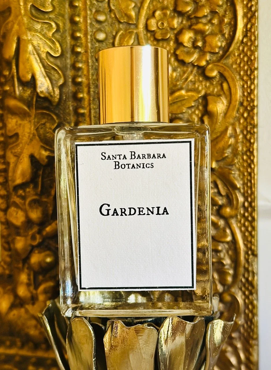 Gardenia edp