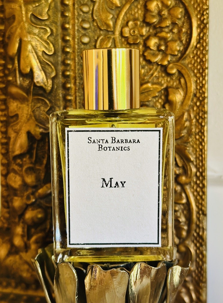 Sbb May edp front.jpeg