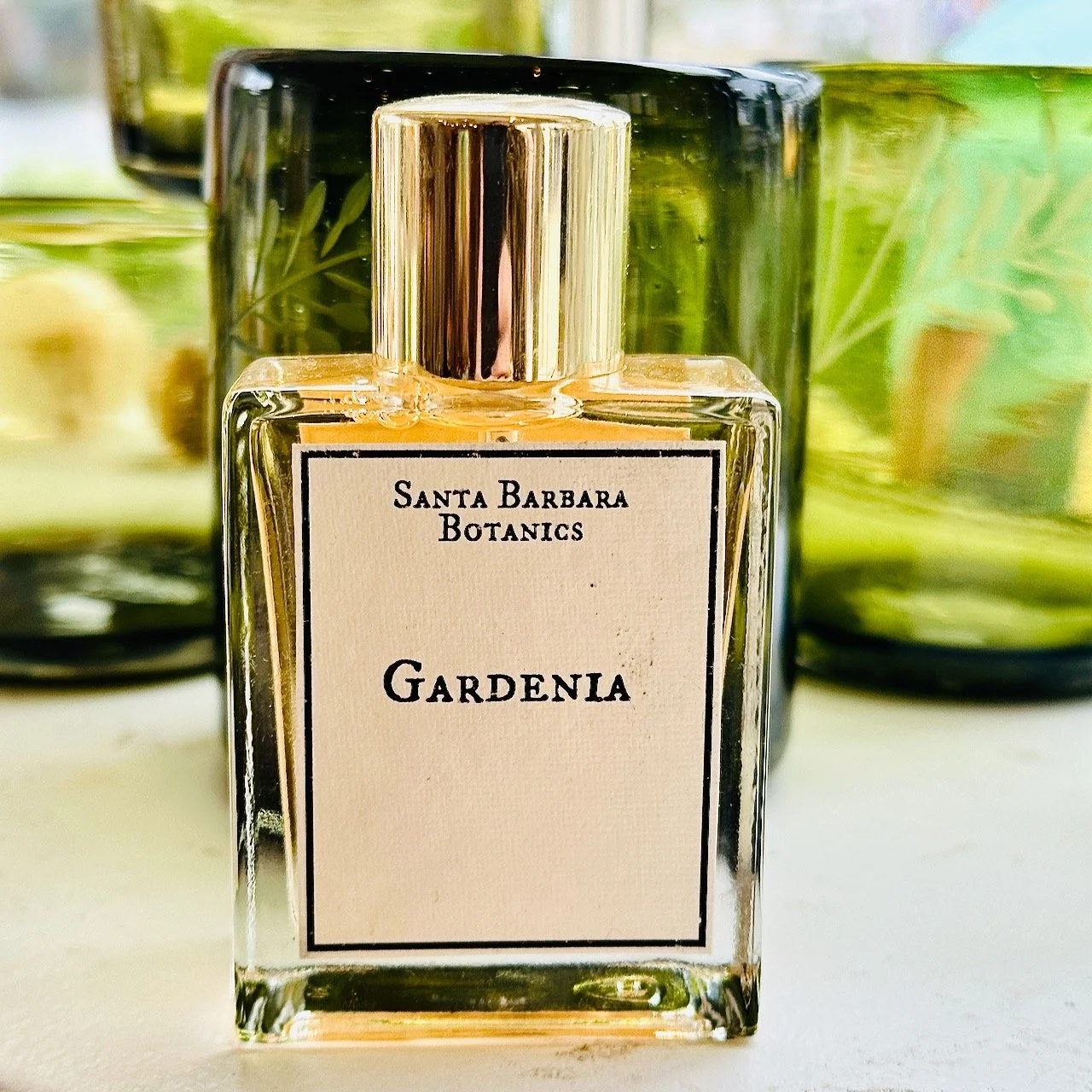 sbb gardenia 2026.jpeg