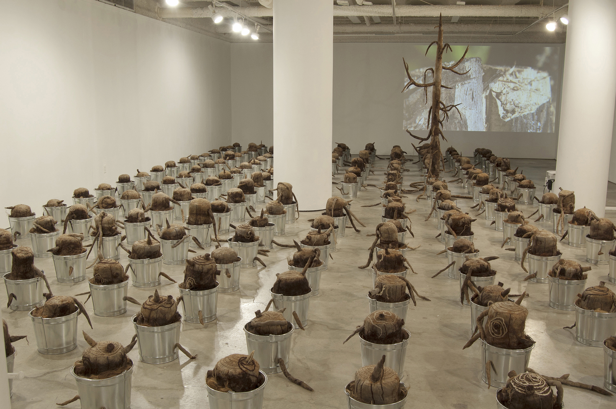 The Last Tree, 2010 - 2016, Silk Organza, cheesecloth, chiffon, rust, tea, human hair, encaustic, wool, string, thread, 193 pails, clotheslines, clothespins, and video with music by Lin Culbertson. About 25w x 45d x 13h feet.