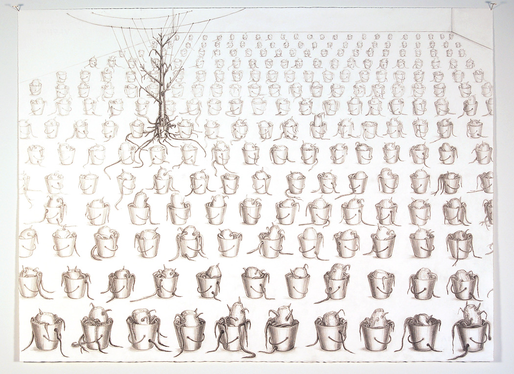 Drawing of "The Last Tree", 2010. Several drawings of the installation along with details of the stumps will be included in the exhibition.