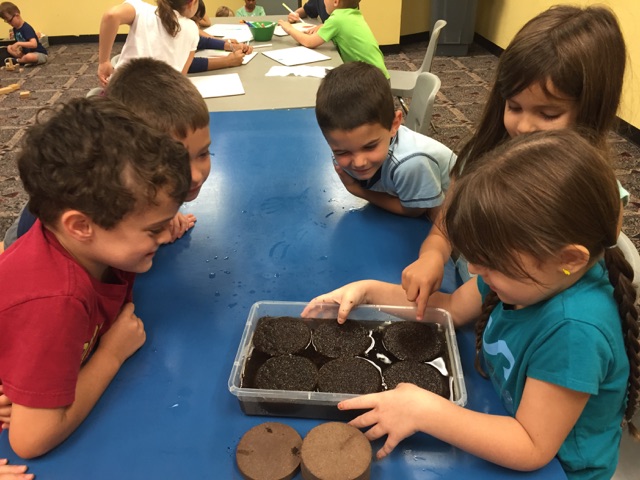 Campers prepare a mystery grass craft. 