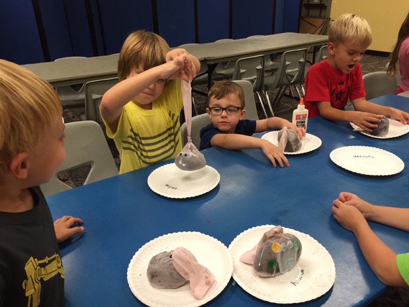 They created homemade chia pets!!! They are so excited to watch them grow "hair!"