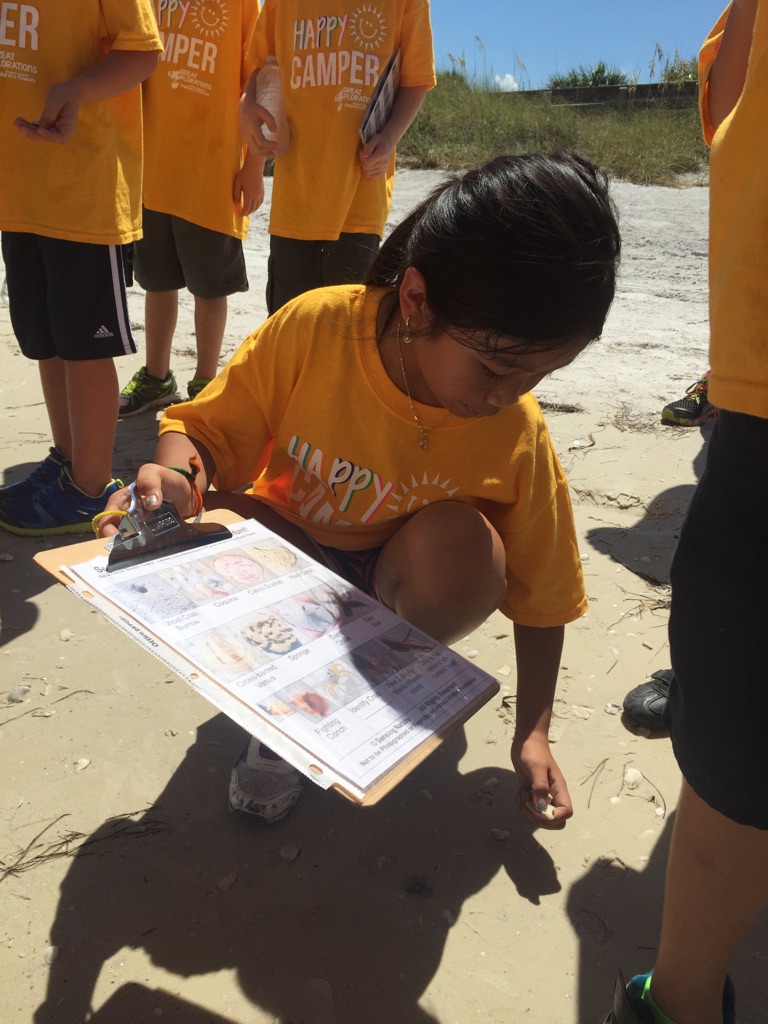 Campers used powers of observation to identify shells during a shell scavenger hunt.