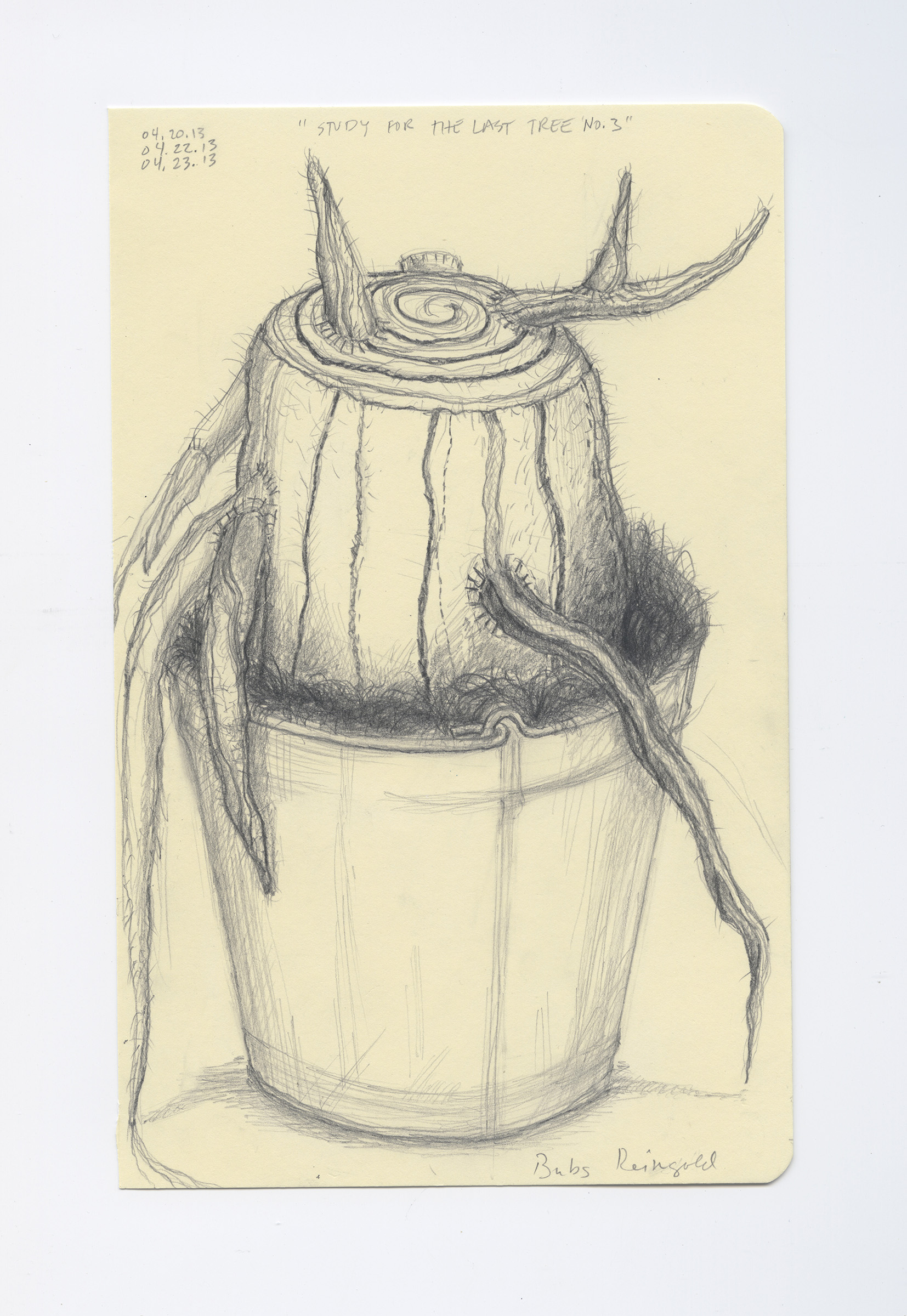Study for The Last Tree No. 3