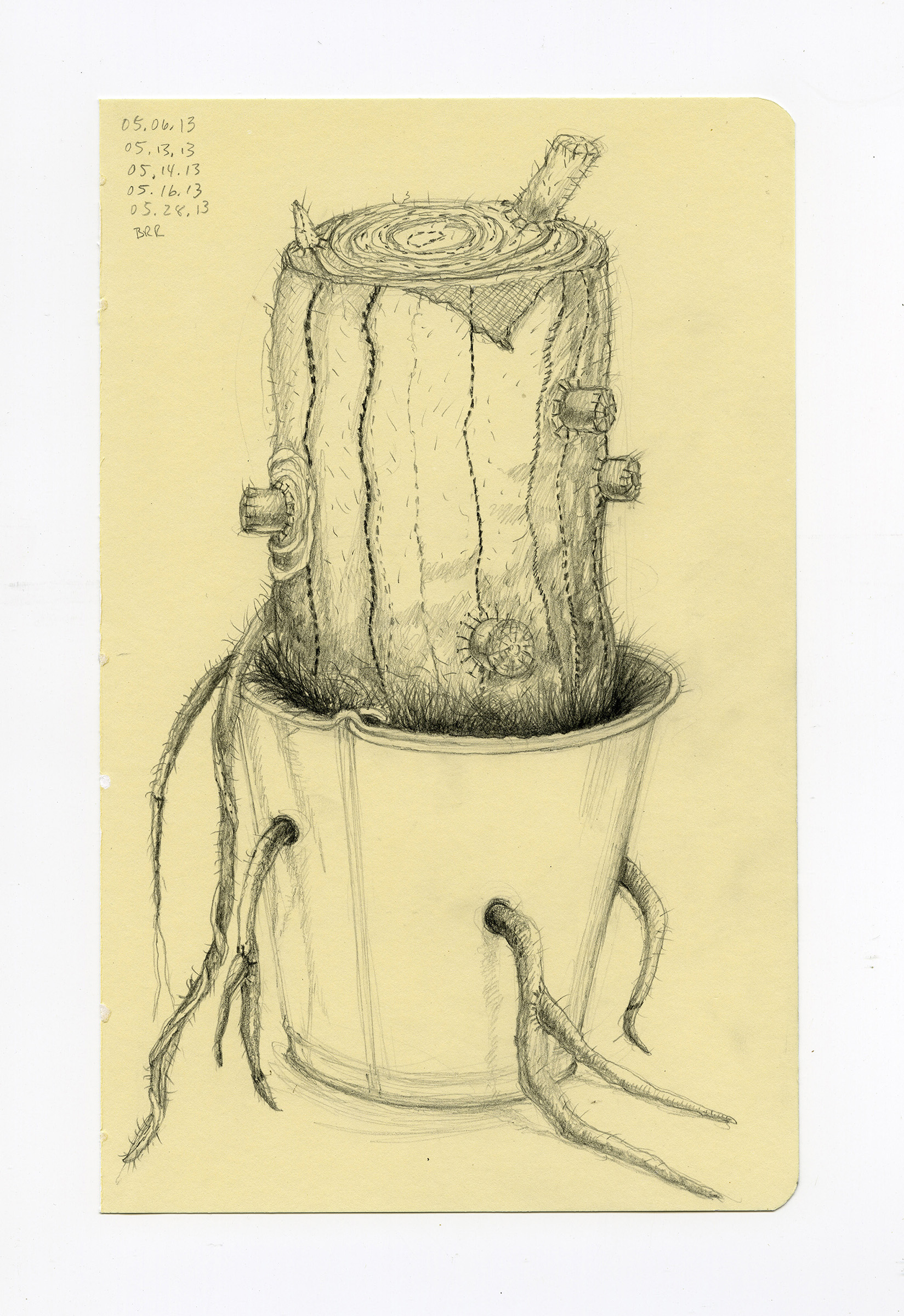 Study for The Last Tree No. 6