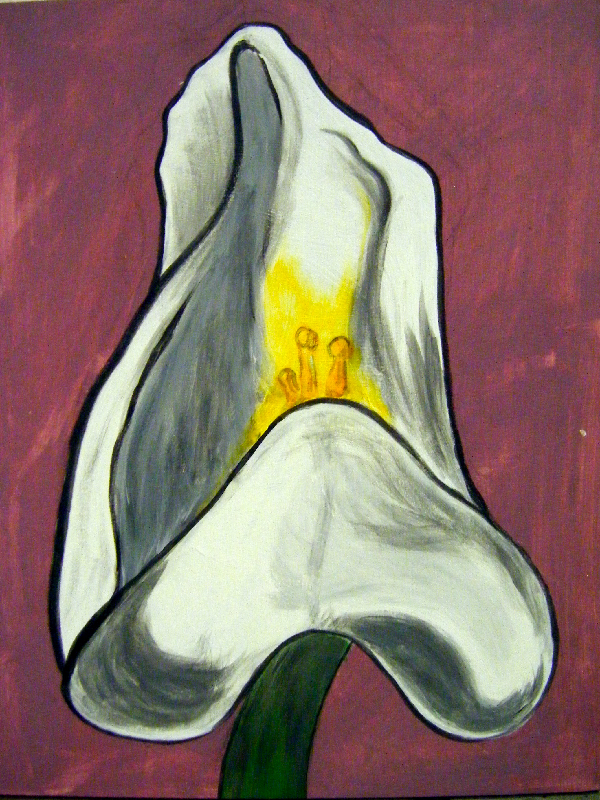 In the summer of 2012 I returned to New Mexico, where I had lived from 1980 until 1993, and, through a program of the Georgia O'Keeffe Museum, I worked with teenage girls over the course of a few days, painting flowers with acrylics on canvas "like Georgia O'Keeffe."