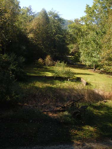 I have had several residencies at the Hambidge Center since the early 2000s. This was the view from my studio window during my most recent residency.
