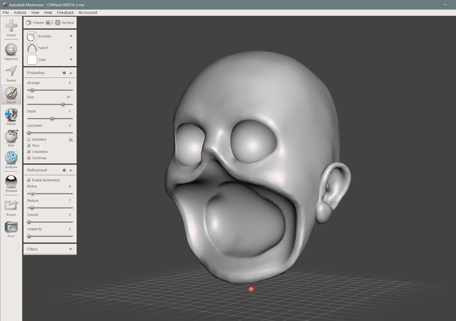 Finished Skull form