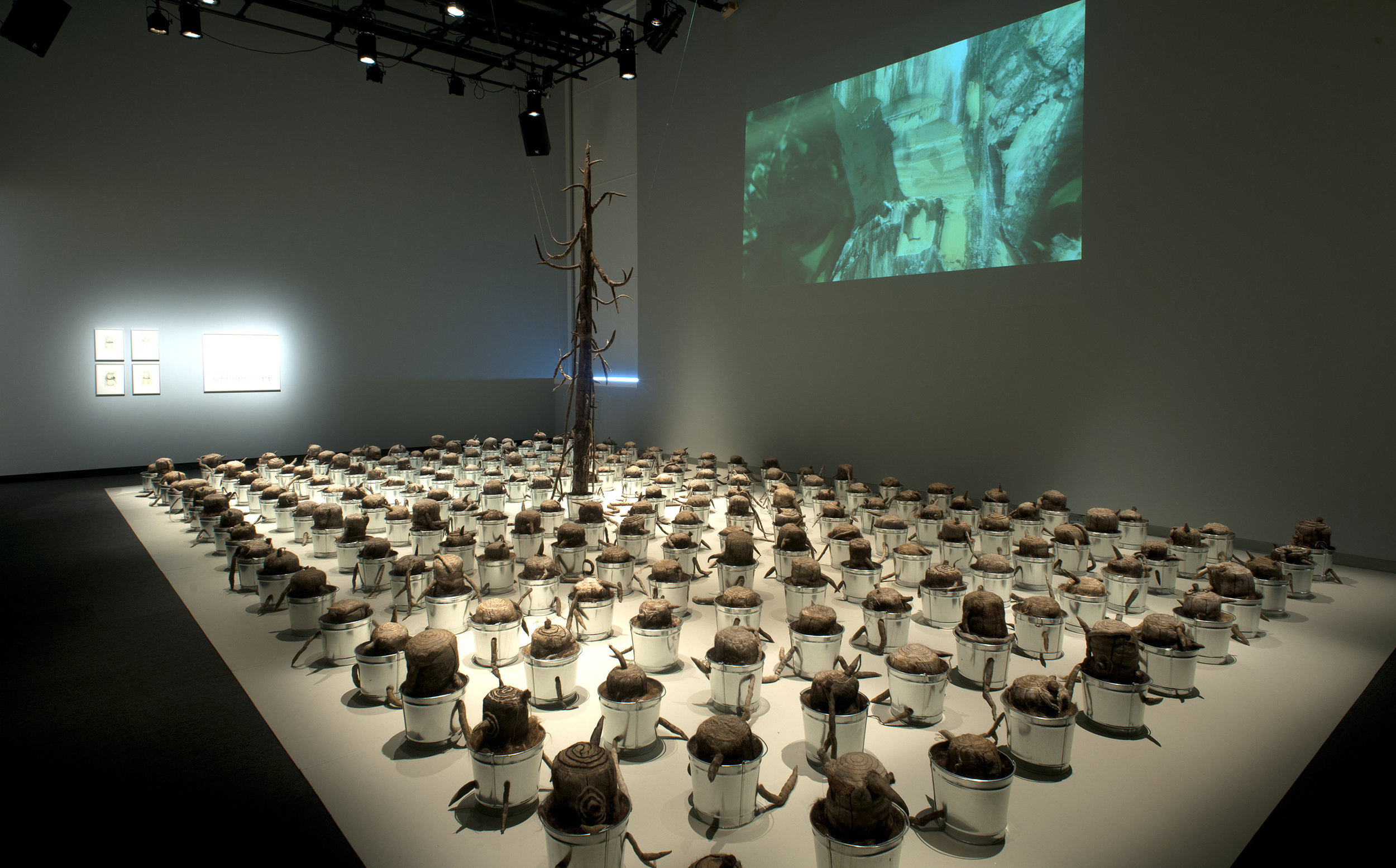 The Last Tree" installed at the Burchfield Penney Art Center Buffalo NY September 9 - February 2017