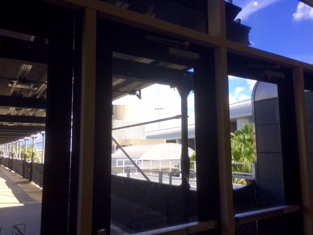 Home again! A view of Tampa International Airport