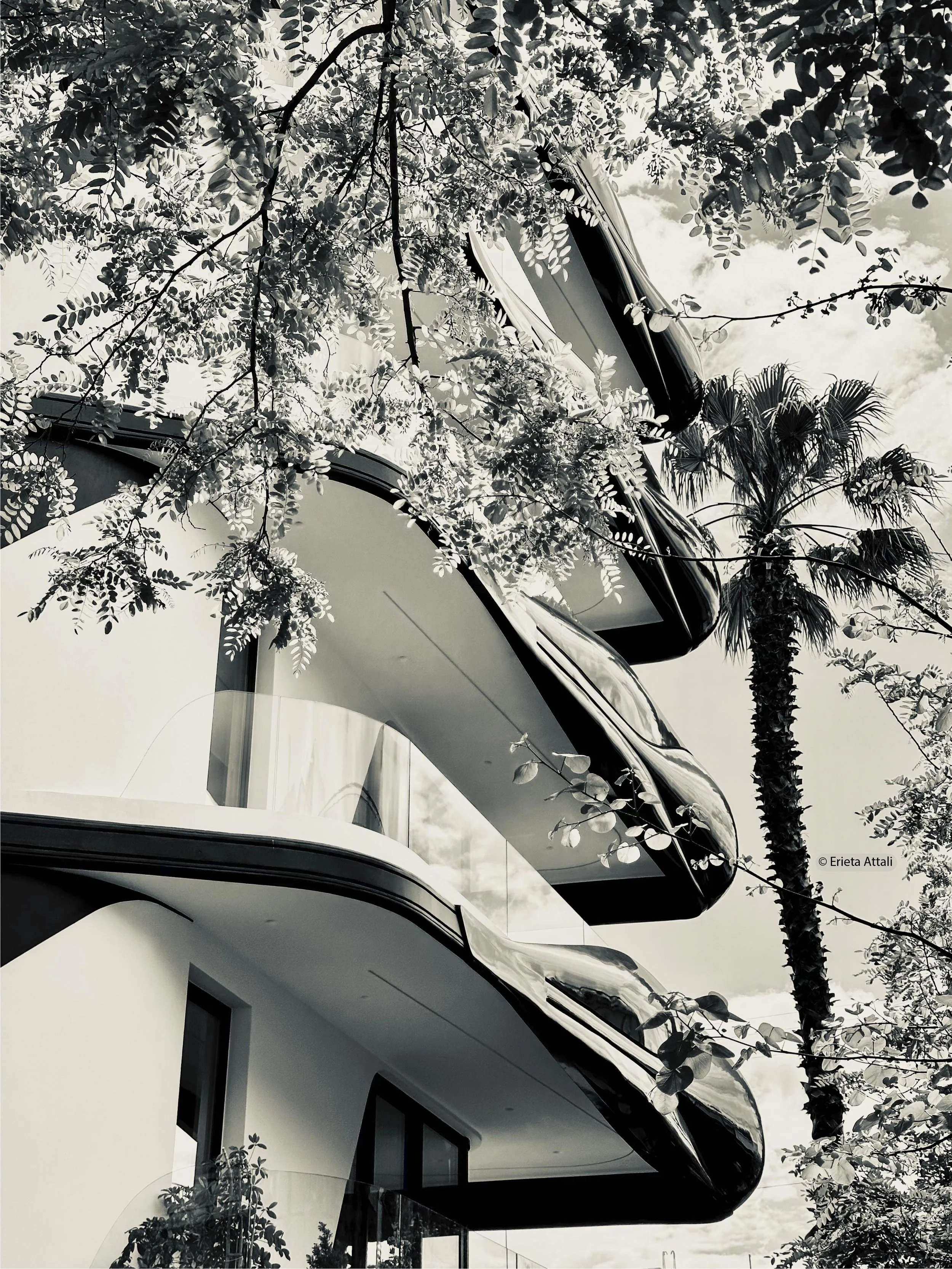 _0_Close Up _IMG_7257_.jpg