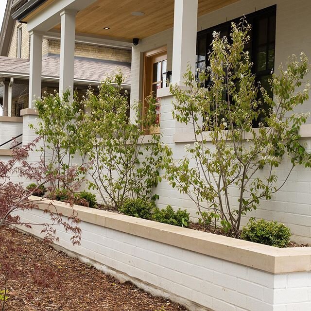 An elegant planting acts as the perfect extension of this timeless home. #EdenGardenworks ⠀
. ⠀
#frontgarden #frontyard #frontlandscape #exteriordesign #landscapedesign #gardendesign #landscape_captures #ldnont #ldnontario #londonon #londonont #londo