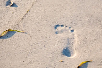 The Impermanence of Anger and Hatred