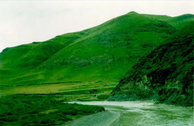 Loving-kindness and Realization