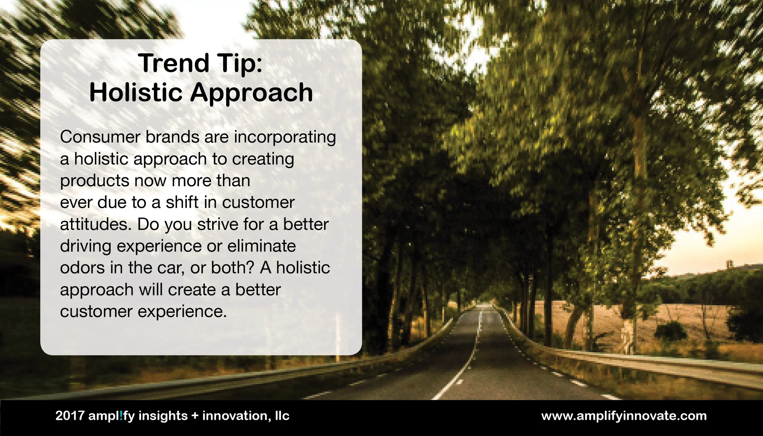 Holistic Approach Snapshot.jpg