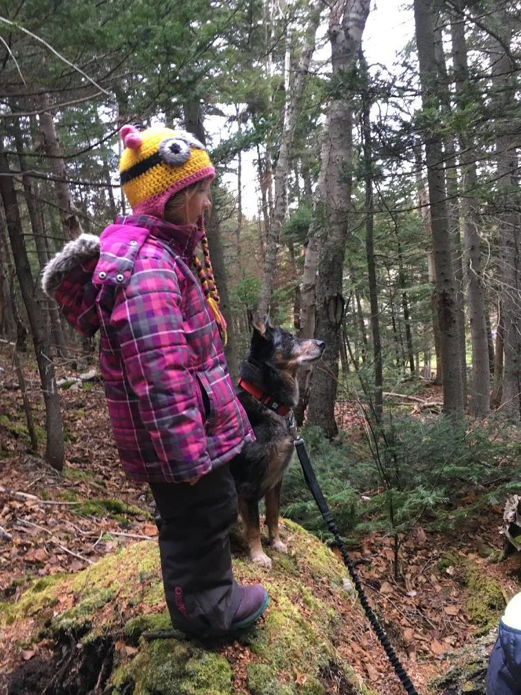 Exploring the forest with our furry friend, Rain