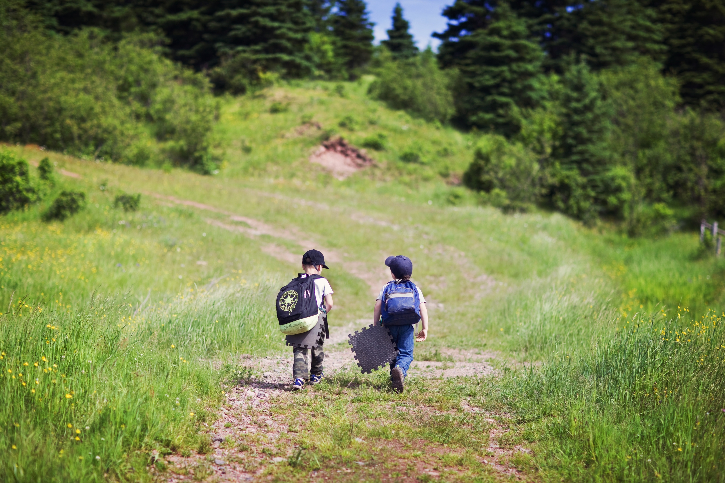 Tír na nÓg Forest School Free Range Learning. Learn more