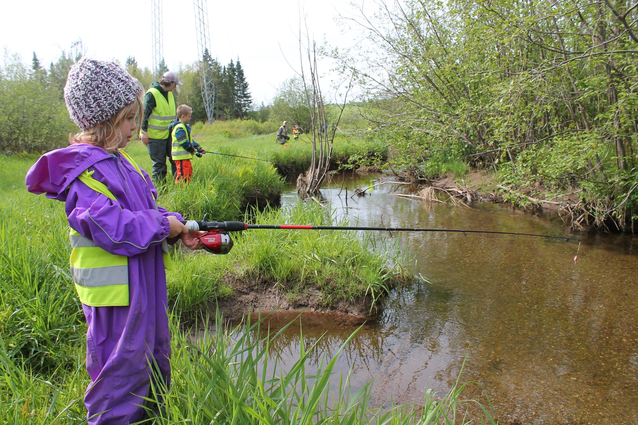 Tír na nÓg Forest School School can look like this. Learn more
