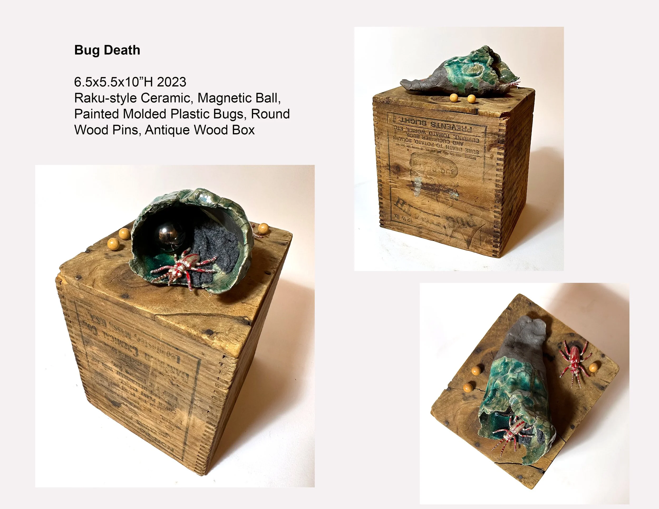 Bug Death Composite.jpg