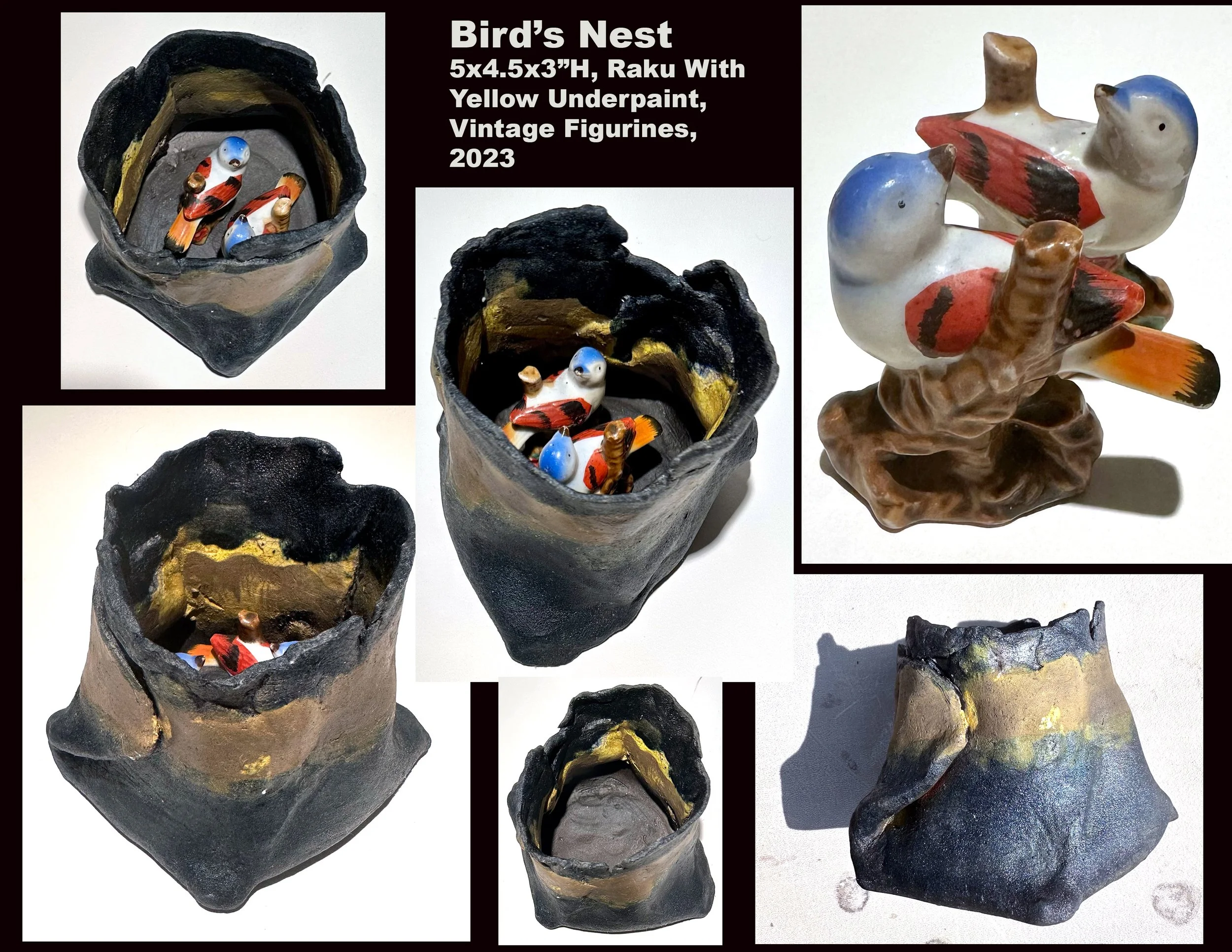 Bird Composite.jpg