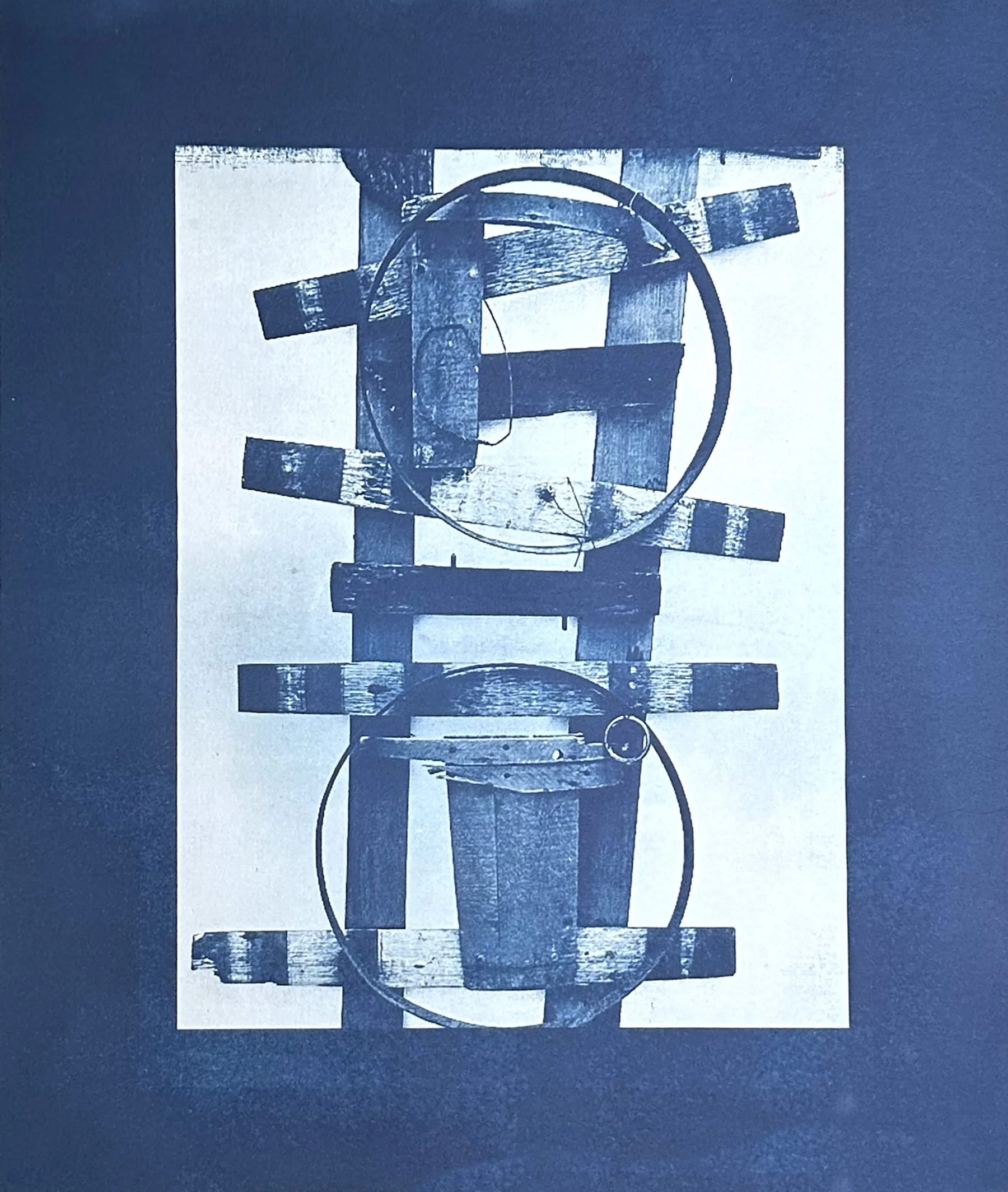  Made by exposing freshly picked lilies and other flowers from my Cape Cod garden, placing them under glass and over a layer of paper prepared with cyanotype chemicals in a process similar to making old-fashioned blue prints. 