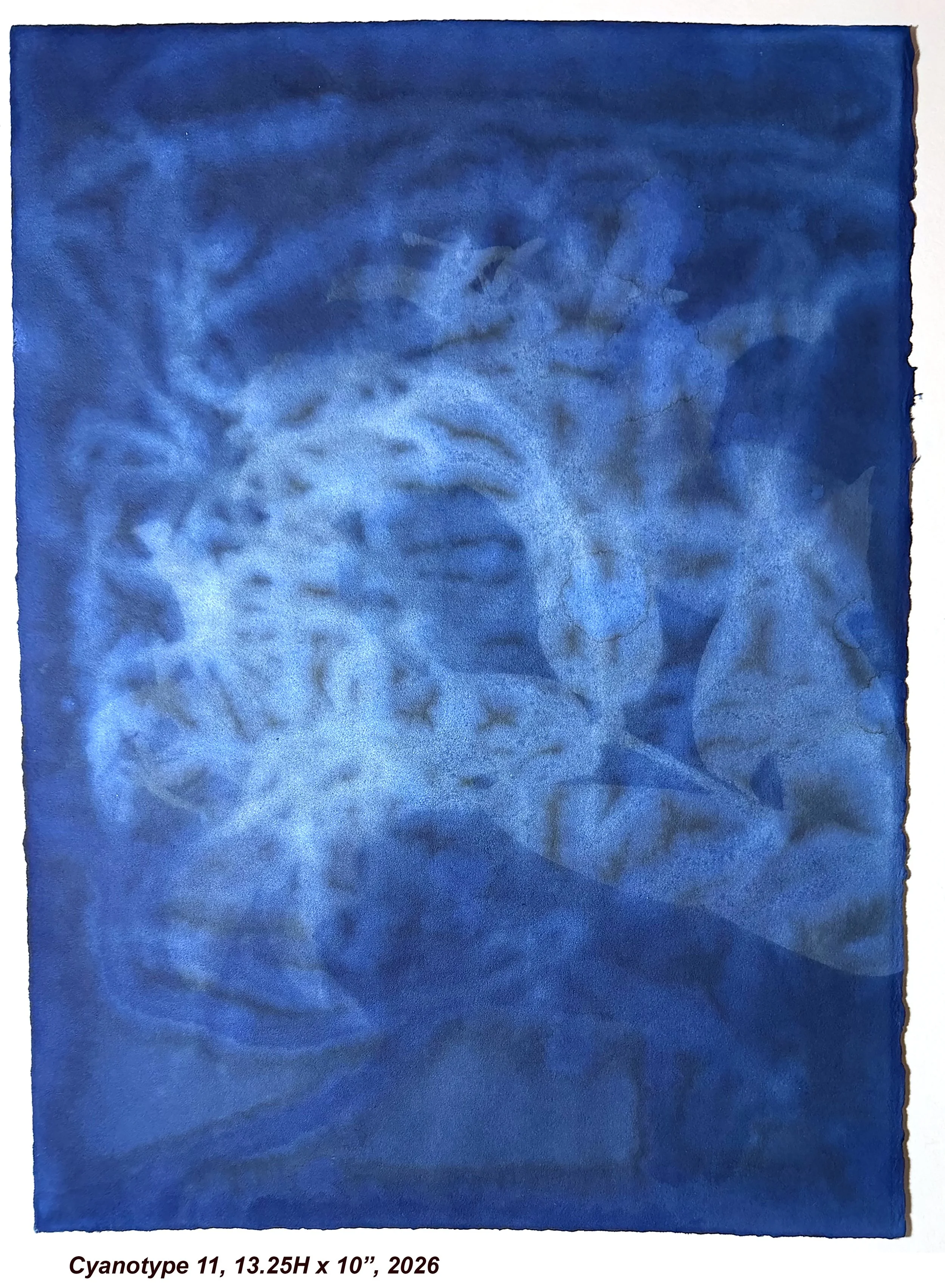 Cyan11,15x10,2026.jpg