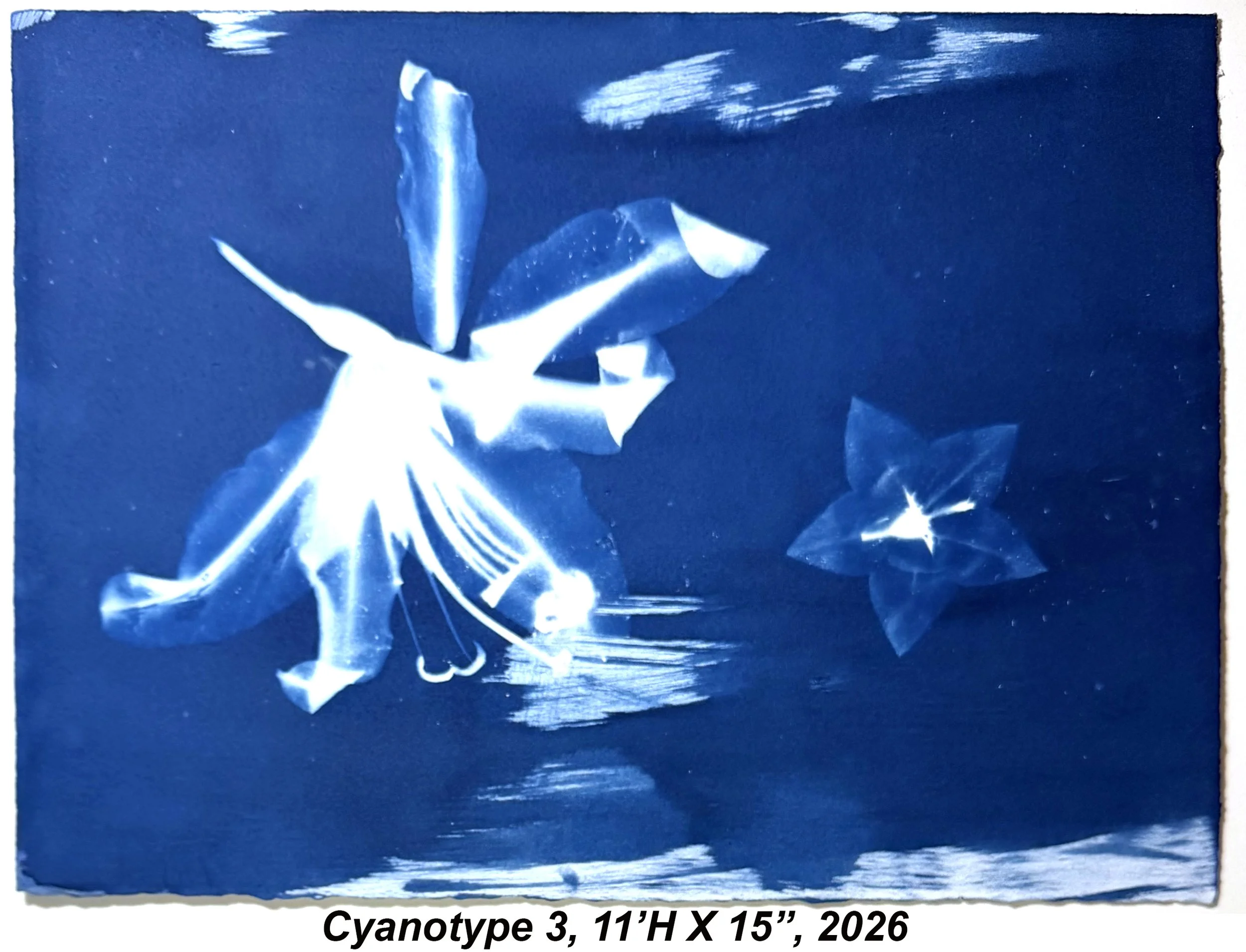 Cyan3,11x15,2026.jpg