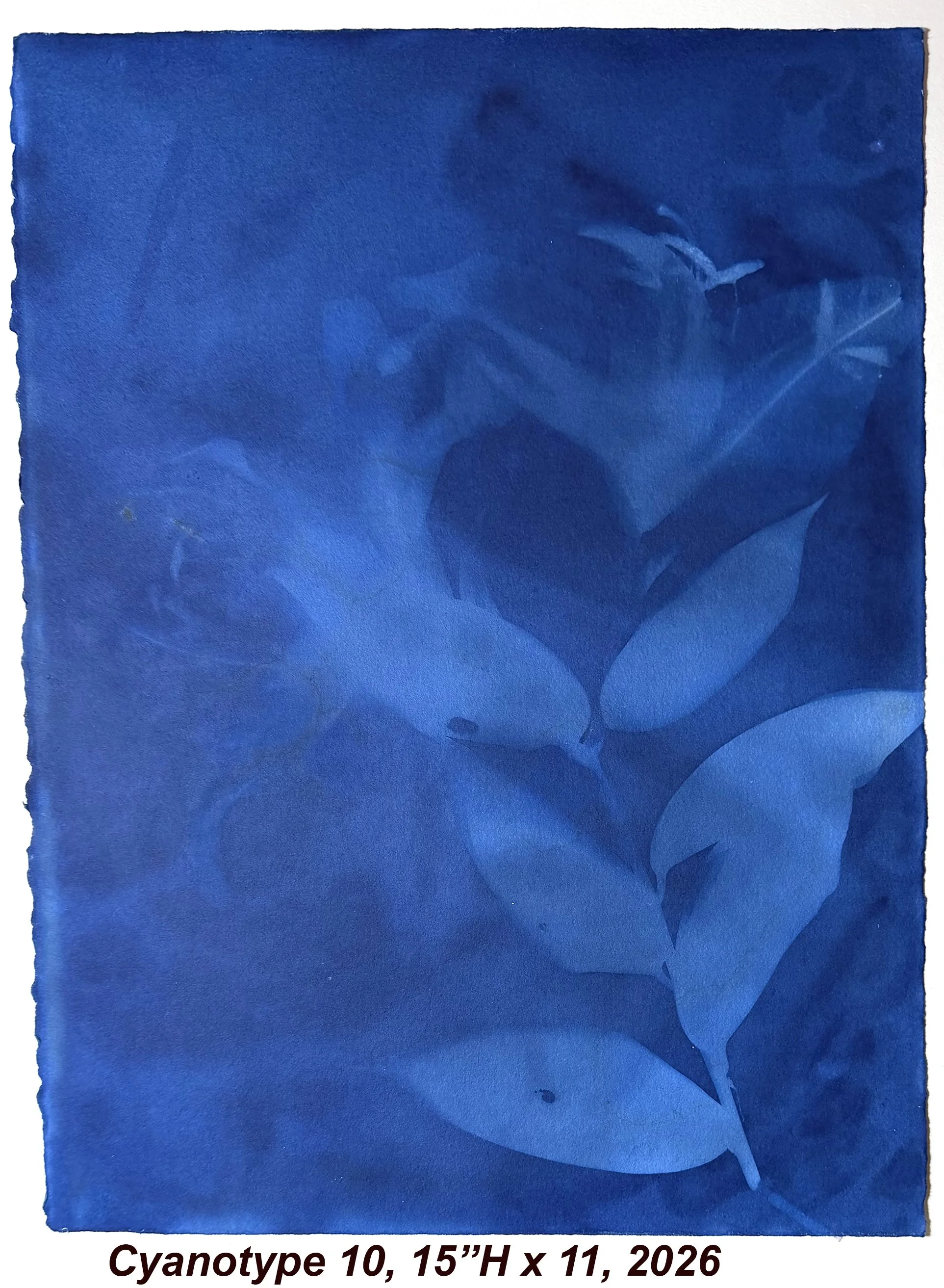 Cyan10,15x10,2026.jpg