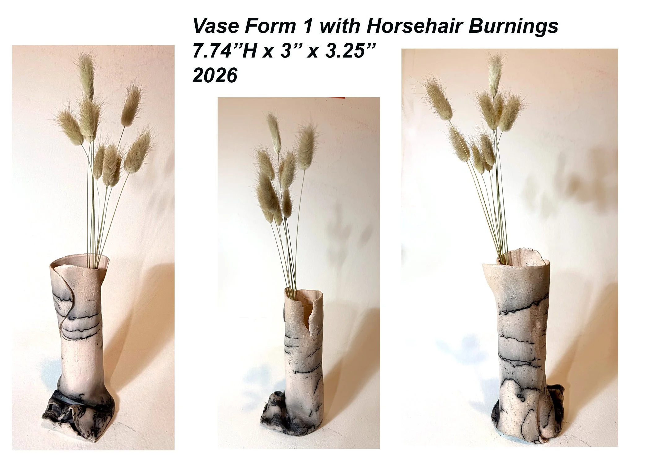 Vase1HorsehairComposite,7.74x3x3.5,2026.jpg