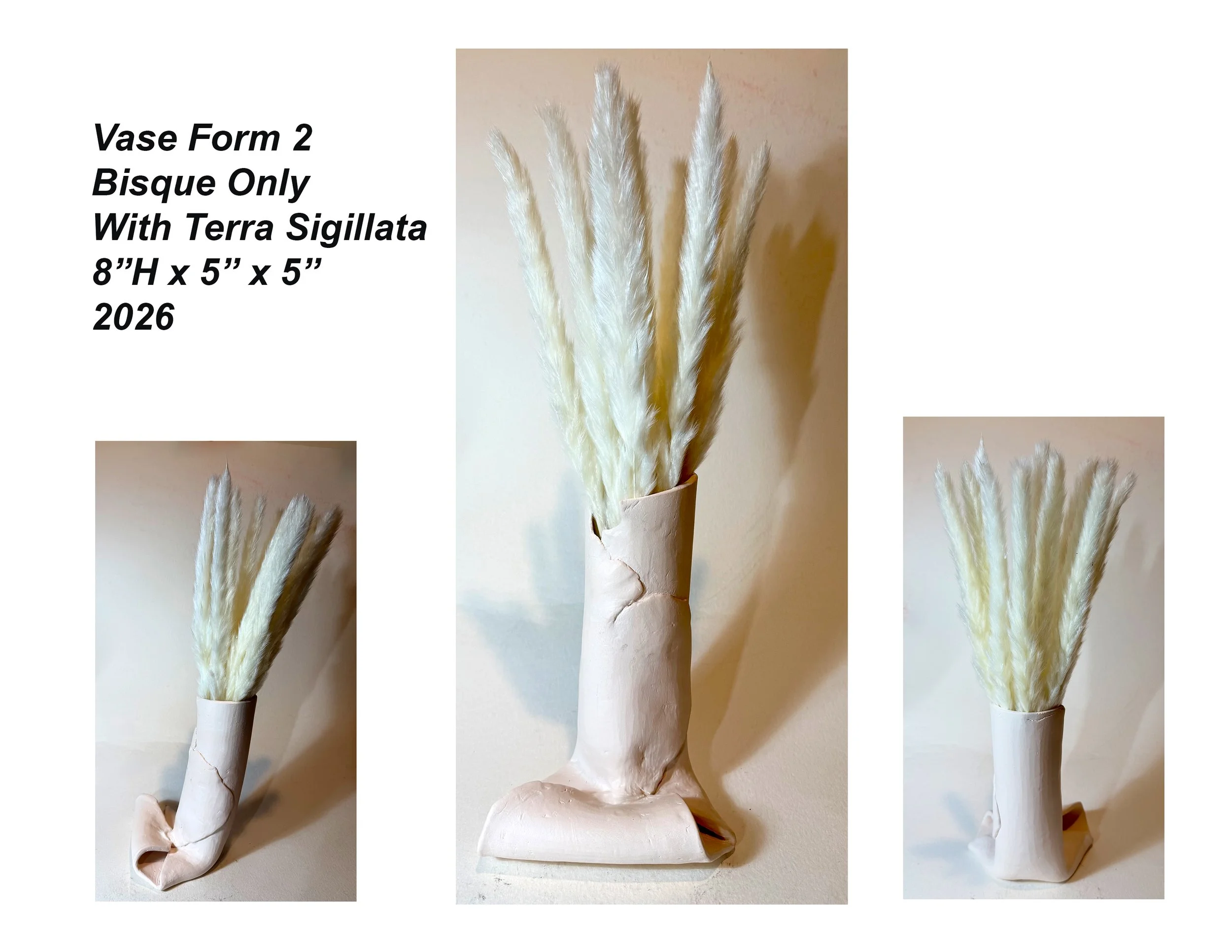Vase2BisqueComposite,8x5x5,2026.jpg
