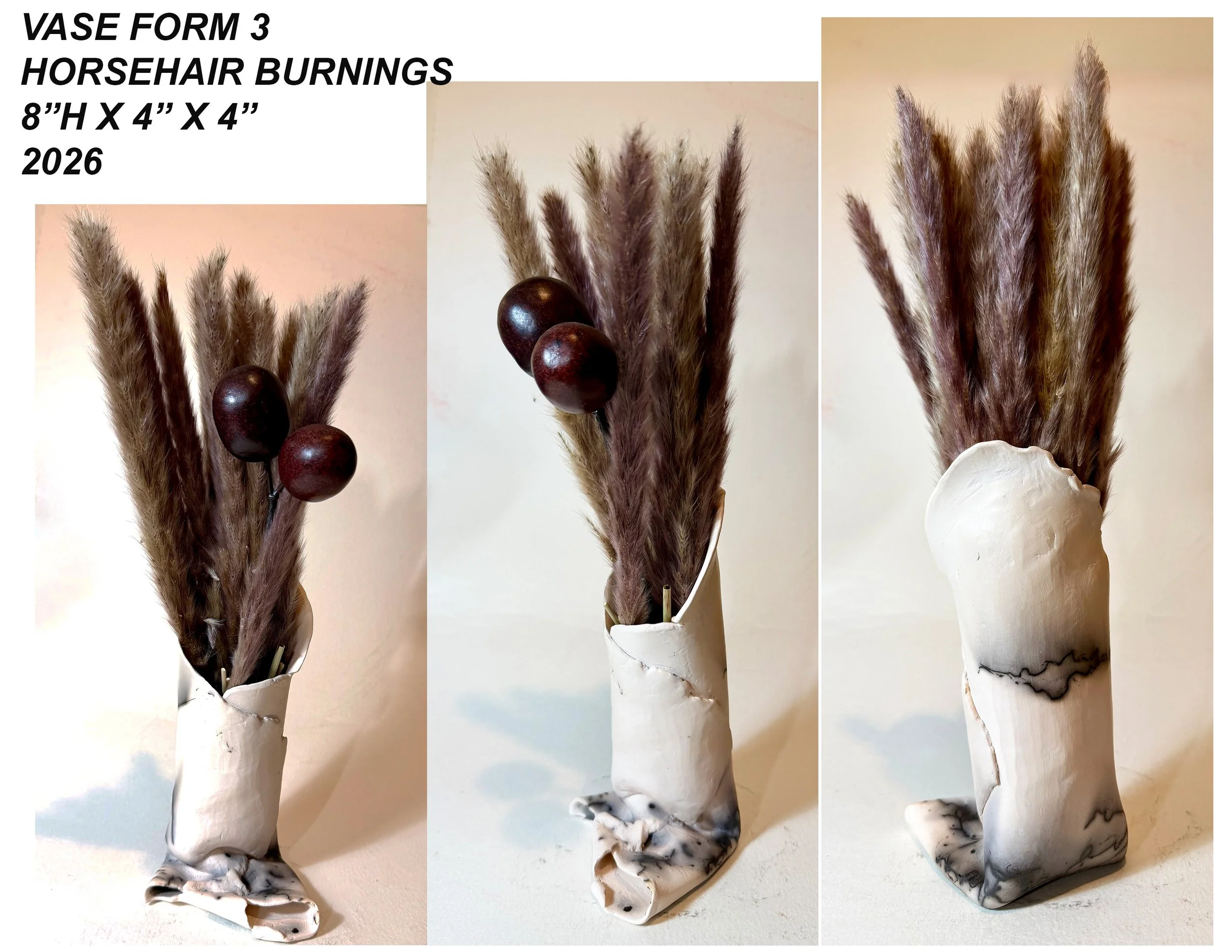 Vase3HorsehairComposite,8x4x4,2026.jpg