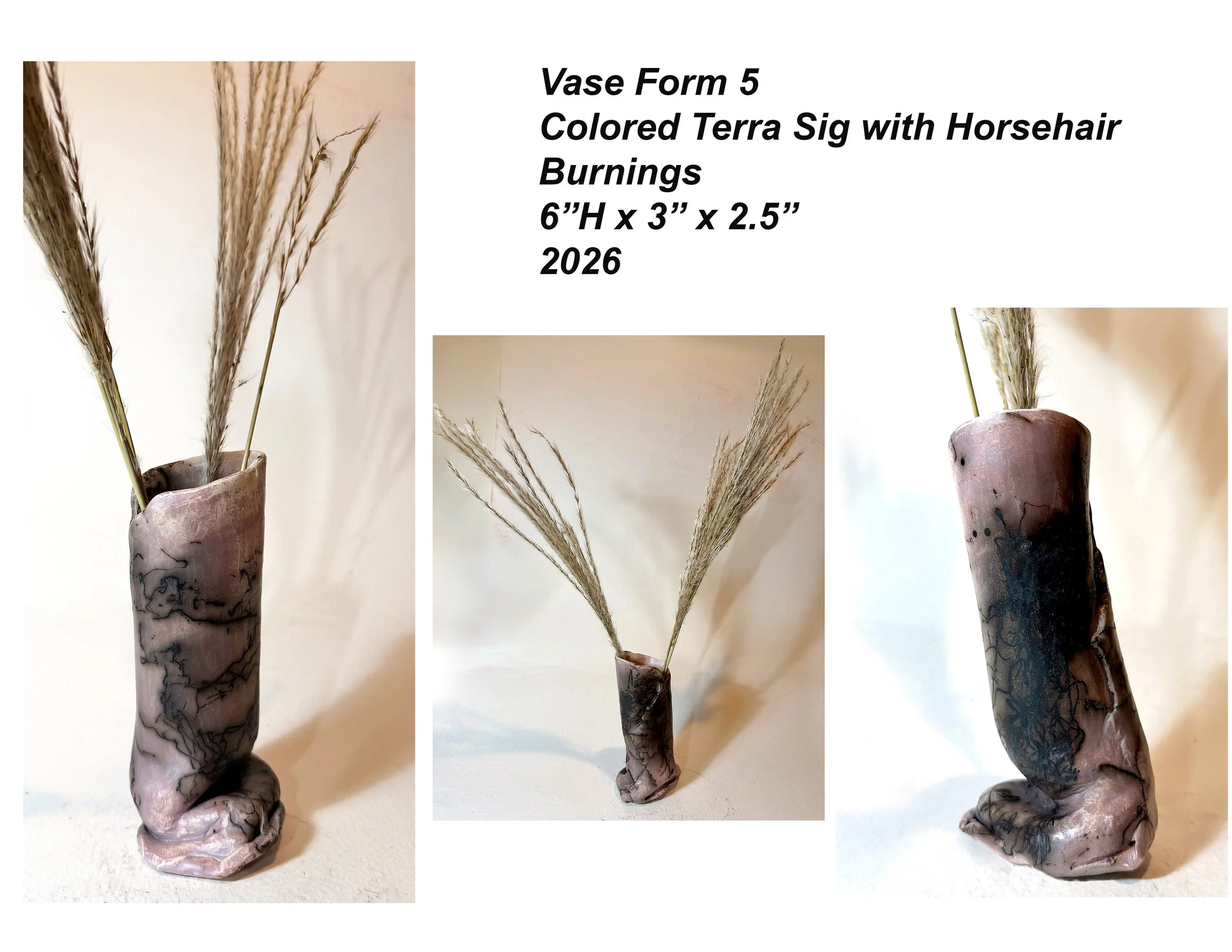 Vase5ColorSigHorsehairComposite,6x3x2.5,2026.jpg