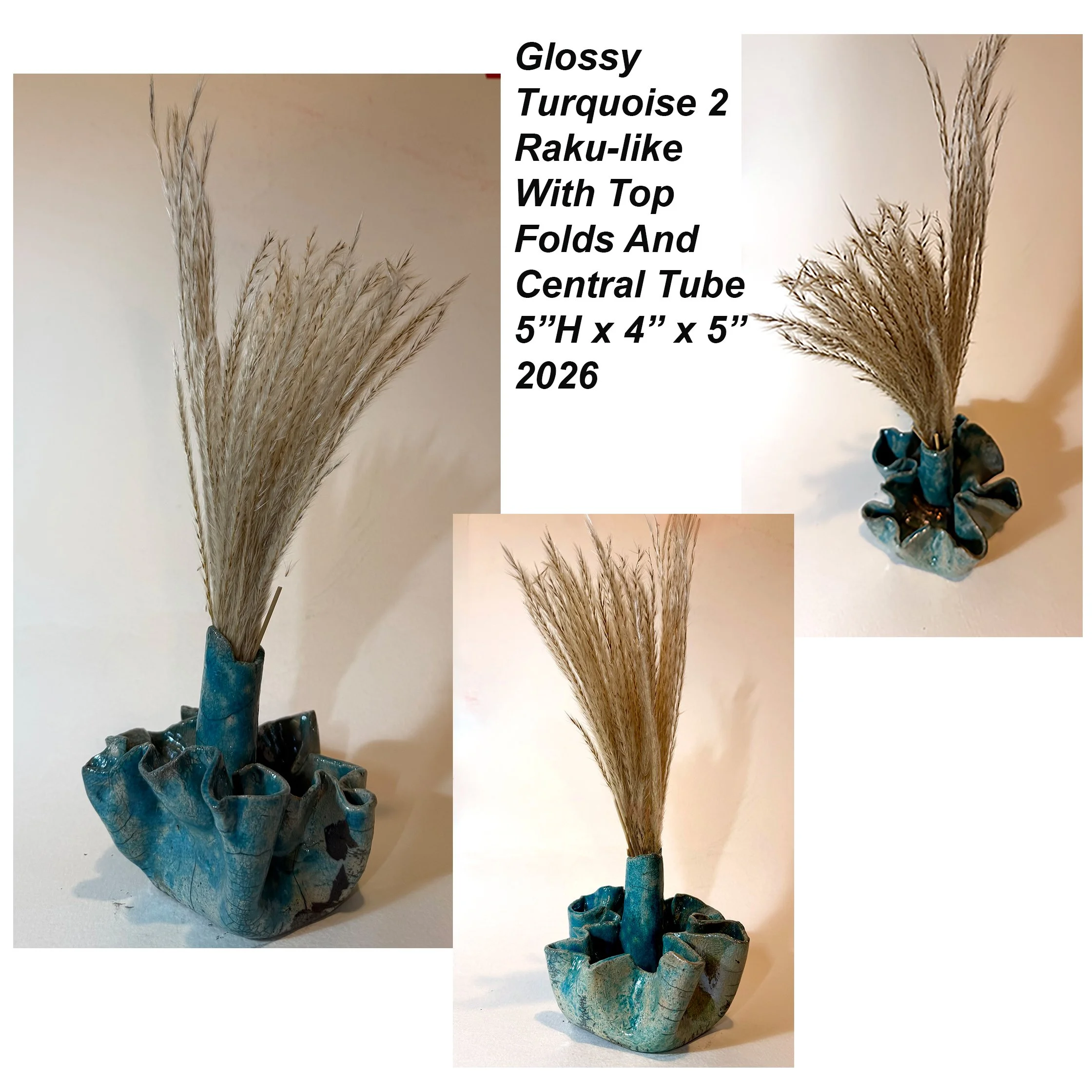 GlossyTurk2Composite, 2026.jpg