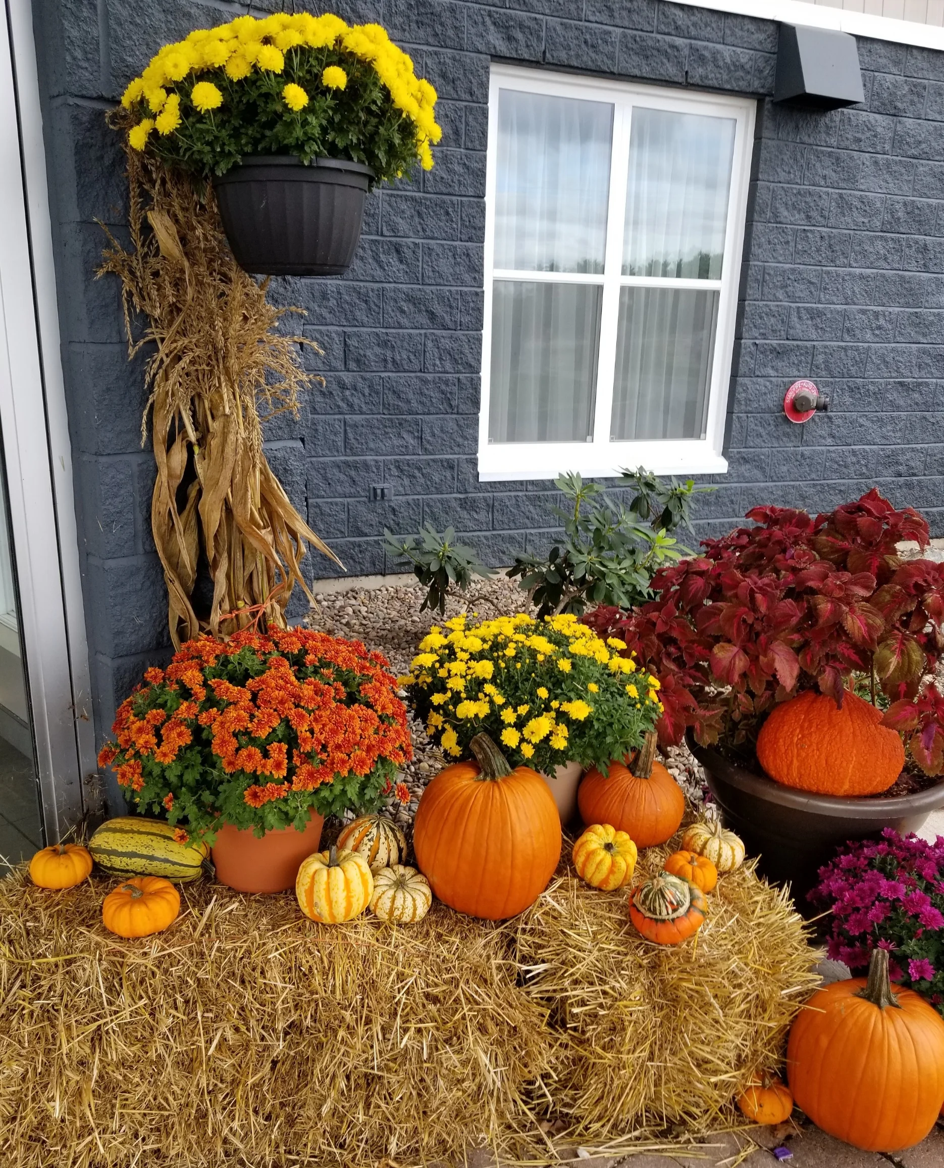 Best Westin Hotel, Bridgewater, NS - Ann Divine