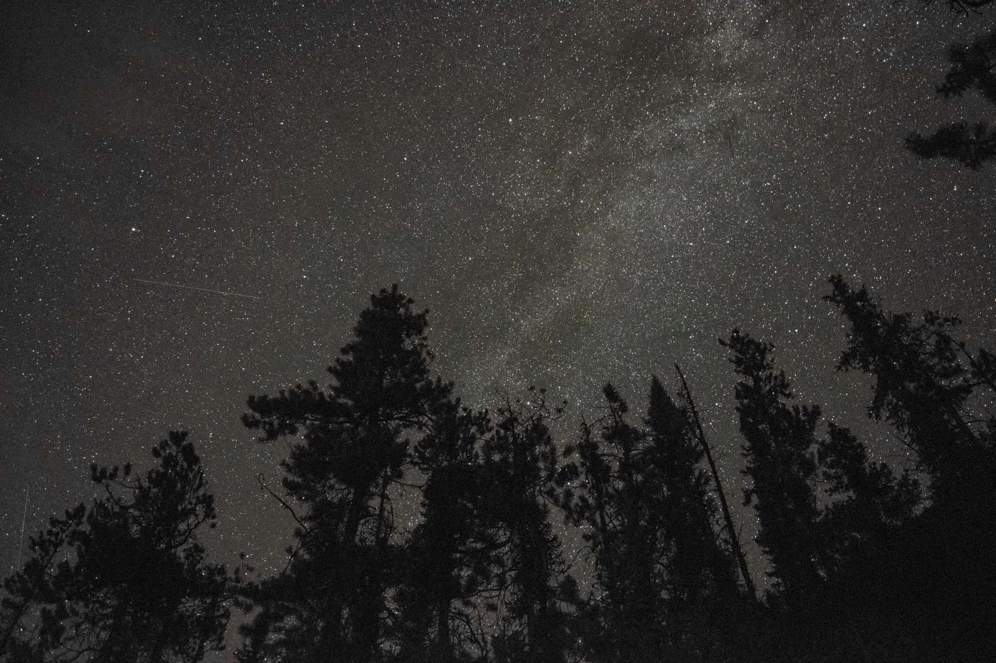 The Milky Way viewed from Jasper National Park.