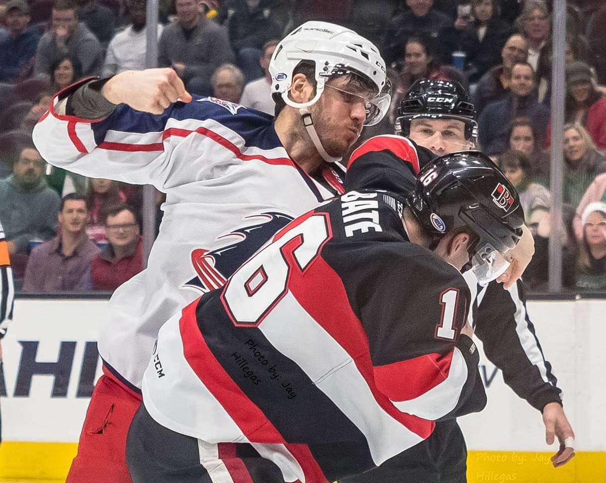 Doyle fights.jpg