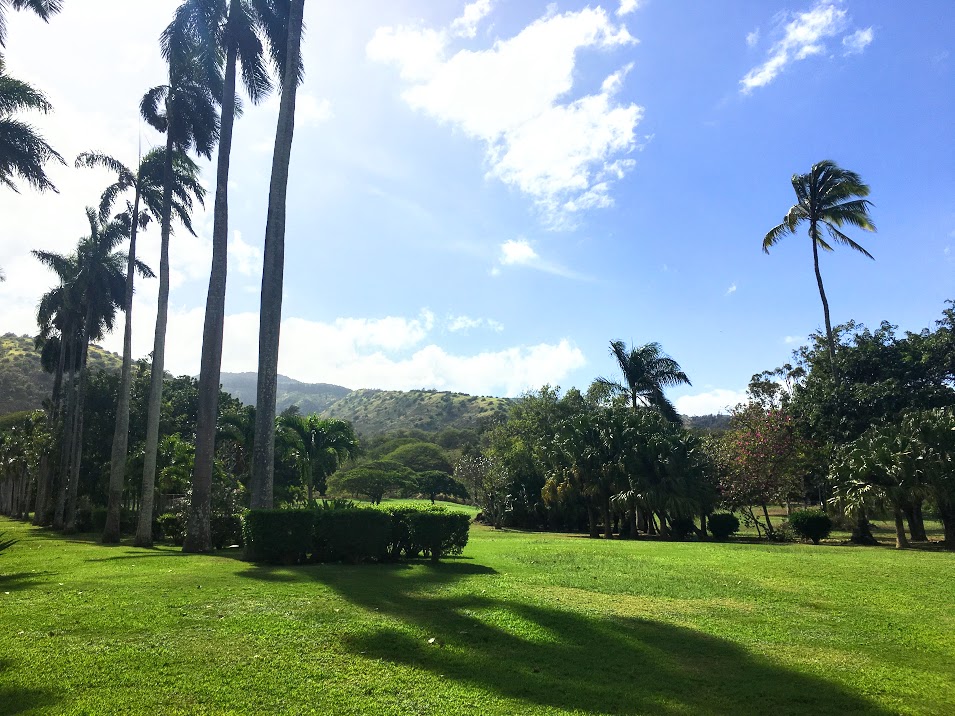 The back of the property can hold large event design and set up. 
